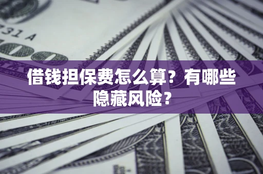 武汉借钱担保费怎么算？有哪些隐藏风险？