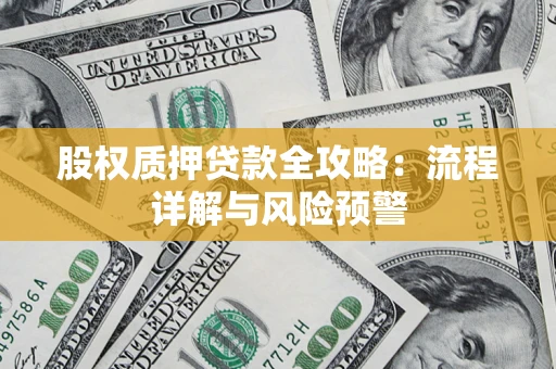 武汉股权质押贷款全攻略：流程详解与风险预警
