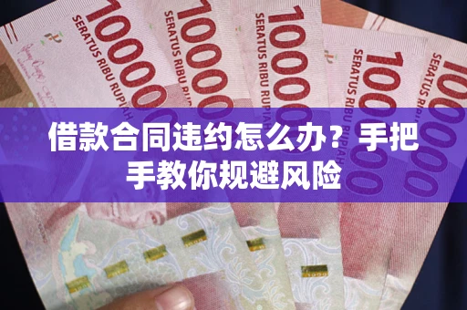 武汉借款合同违约怎么办？手把手教你规避风险