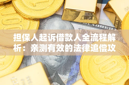 武汉担保人起诉借款人全流程解析：亲测有效的法律追偿攻略