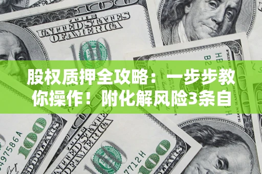 武汉股权质押全攻略：一步步教你操作！附化解风险3条自救法则