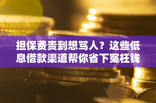武汉担保费贵到想骂人？这些低息借款渠道帮你省下冤枉钱