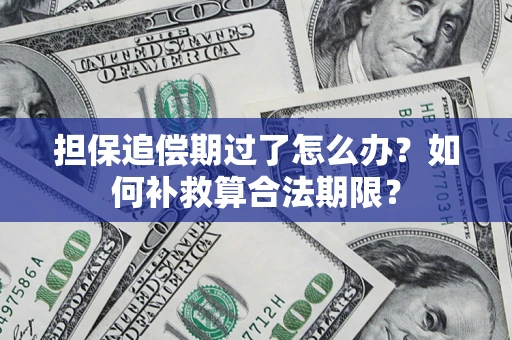 武汉担保追偿期过了怎么办？如何补救算合法期限？