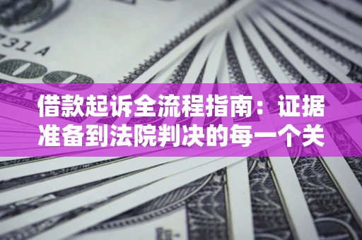 武汉借款起诉全流程指南：证据准备到法院判决的每一个关键步骤