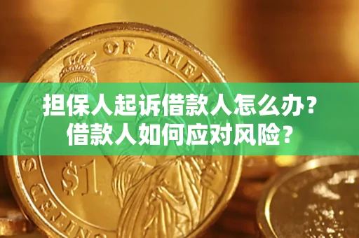 武汉担保人起诉借款人怎么办？借款人如何应对风险？
