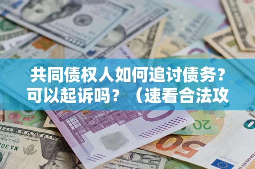 武汉共同债权人如何追讨债务？可以起诉吗？（速看合法攻略）