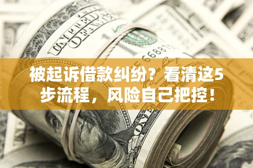 武汉被起诉借款纠纷？看清这5步流程，风险自己把控！