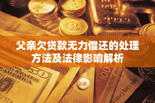 武汉父亲欠贷款无力偿还的处理方法及法律影响解析