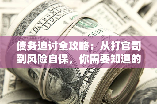 武汉债务追讨全攻略：从打官司到风险自保，你需要知道的法律智慧