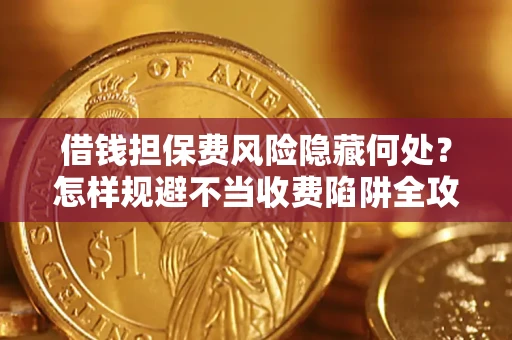 武汉借钱担保费风险隐藏何处？怎样规避不当收费陷阱全攻略！