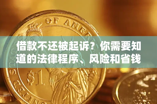 武汉借款不还被起诉？你需要知道的法律程序、风险和省钱技巧